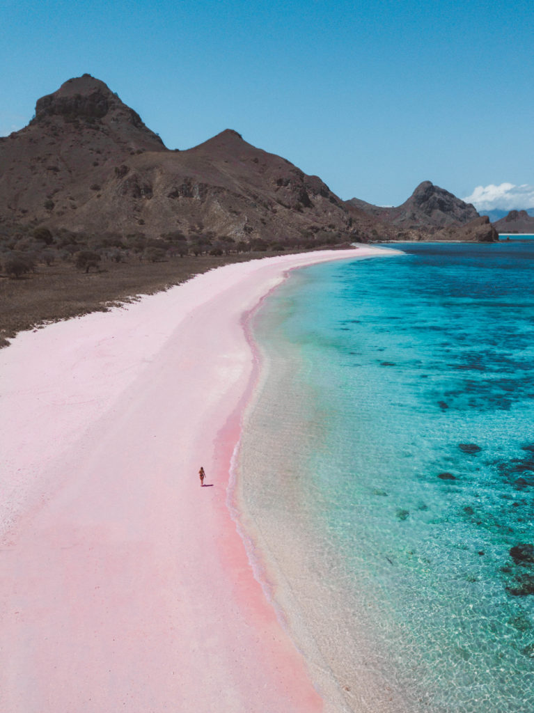 pink beach komodo islands