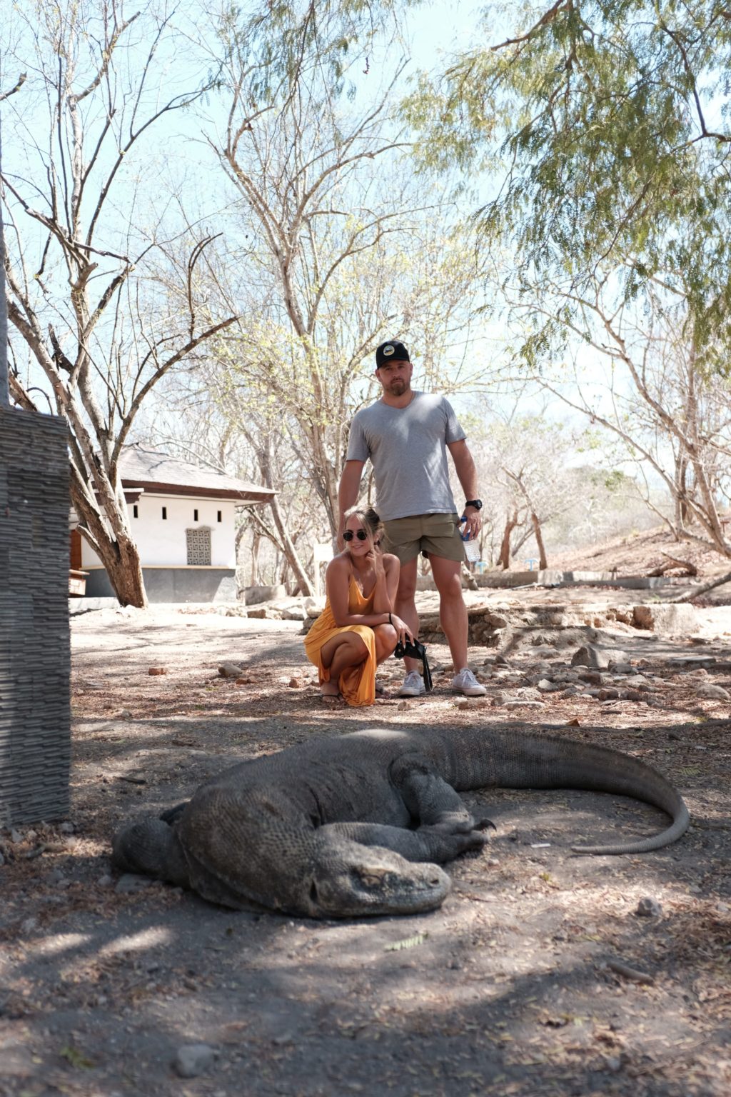 THE KOMODO ISLANDS - TRAVEL GUIDE - Planes Viajeros Travel Blog