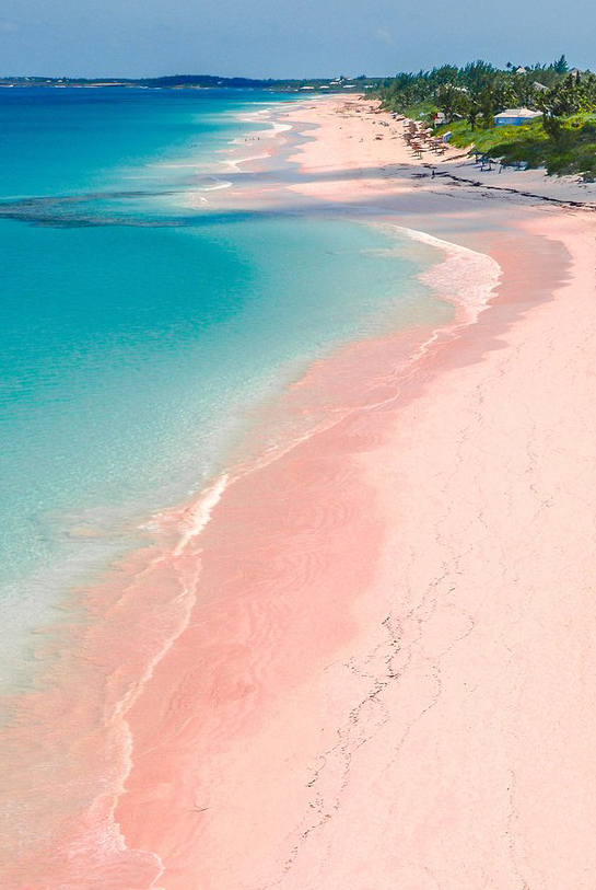 pink beach Harbour Island