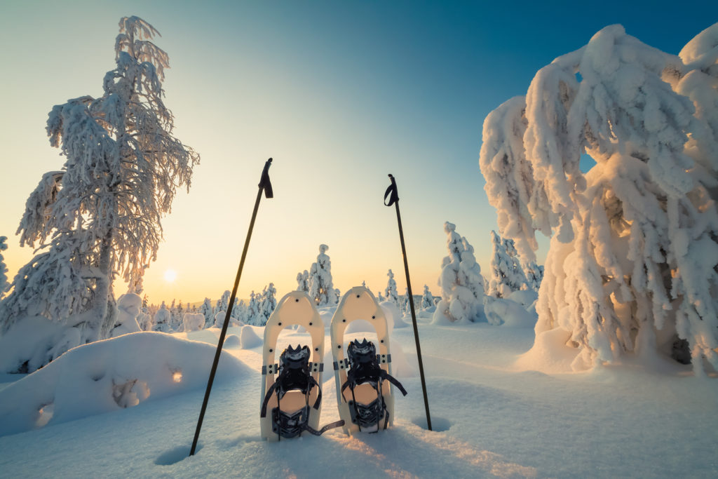 best things to do in Lapland, Finland