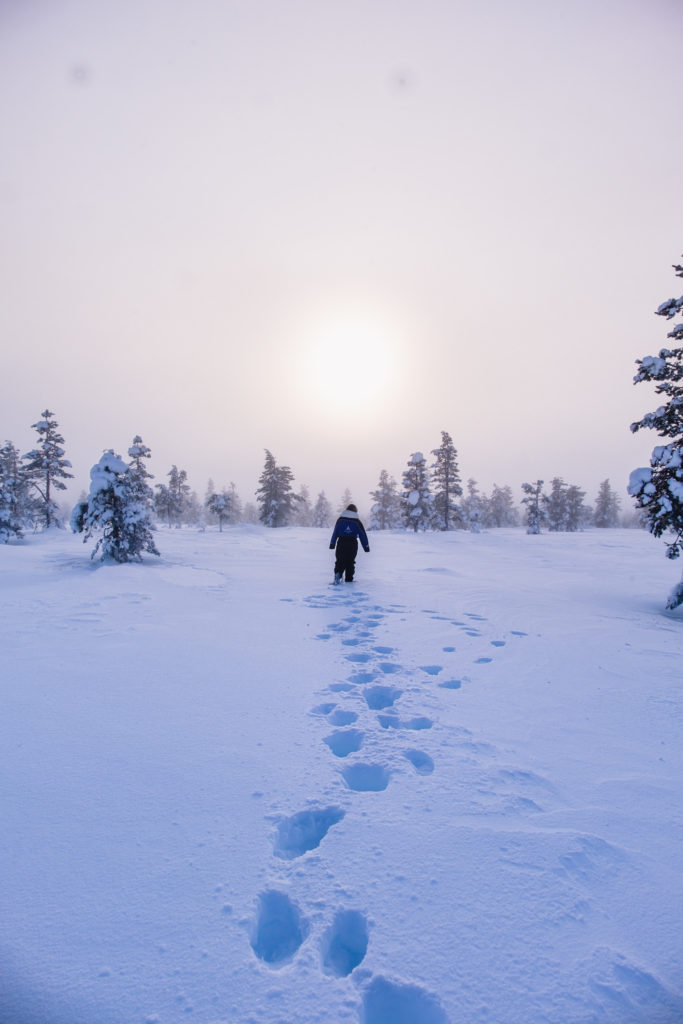 best things to do in Lapland, Finland