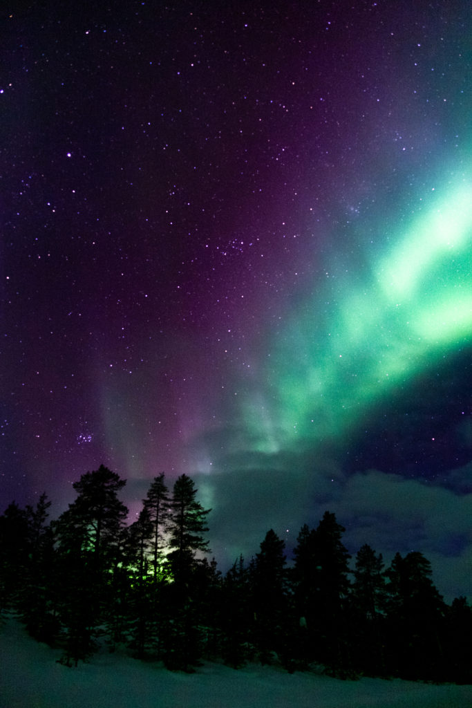how to see the aurora boreal