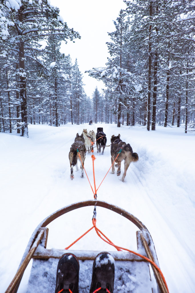 Husky sledding in Lapland, Finland