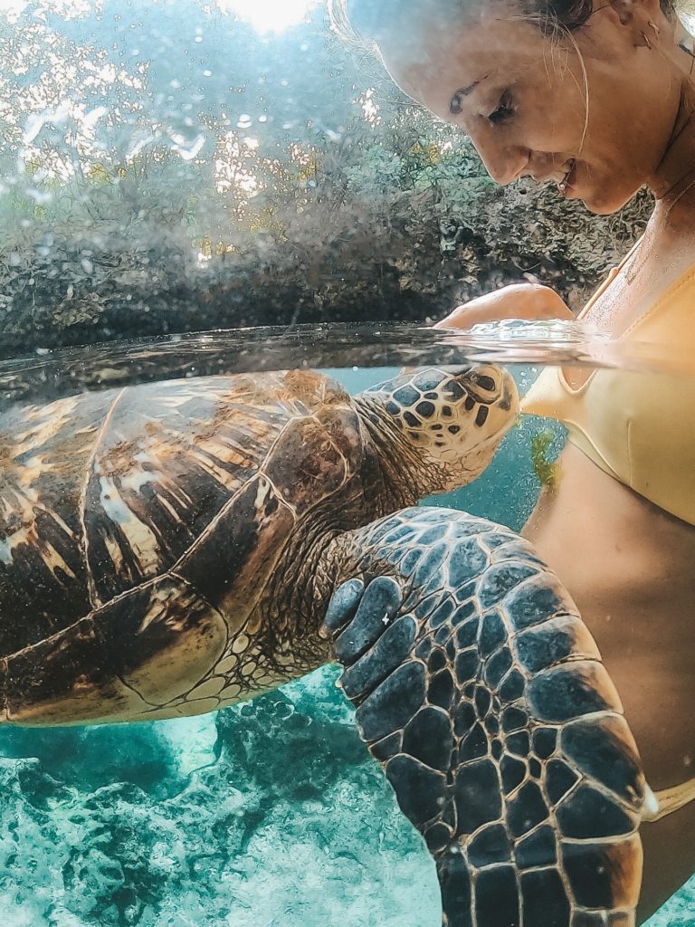 swimming with turtles in Zanzibar