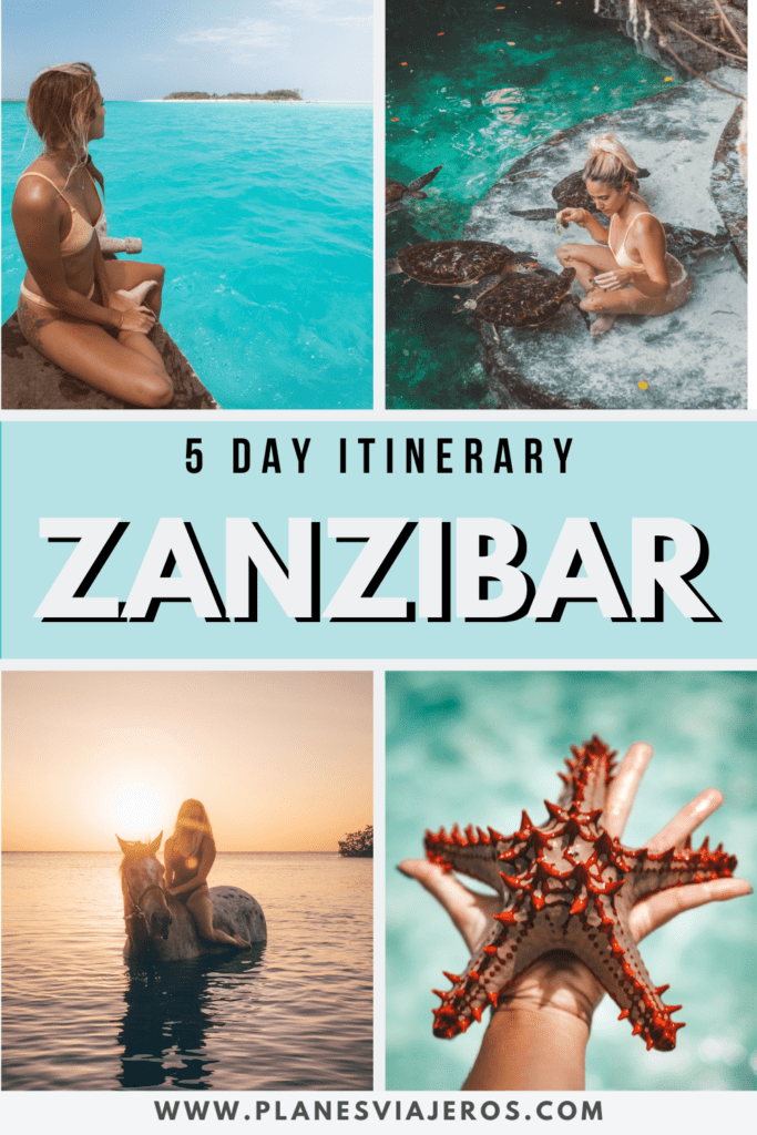 zanzibar travel guide