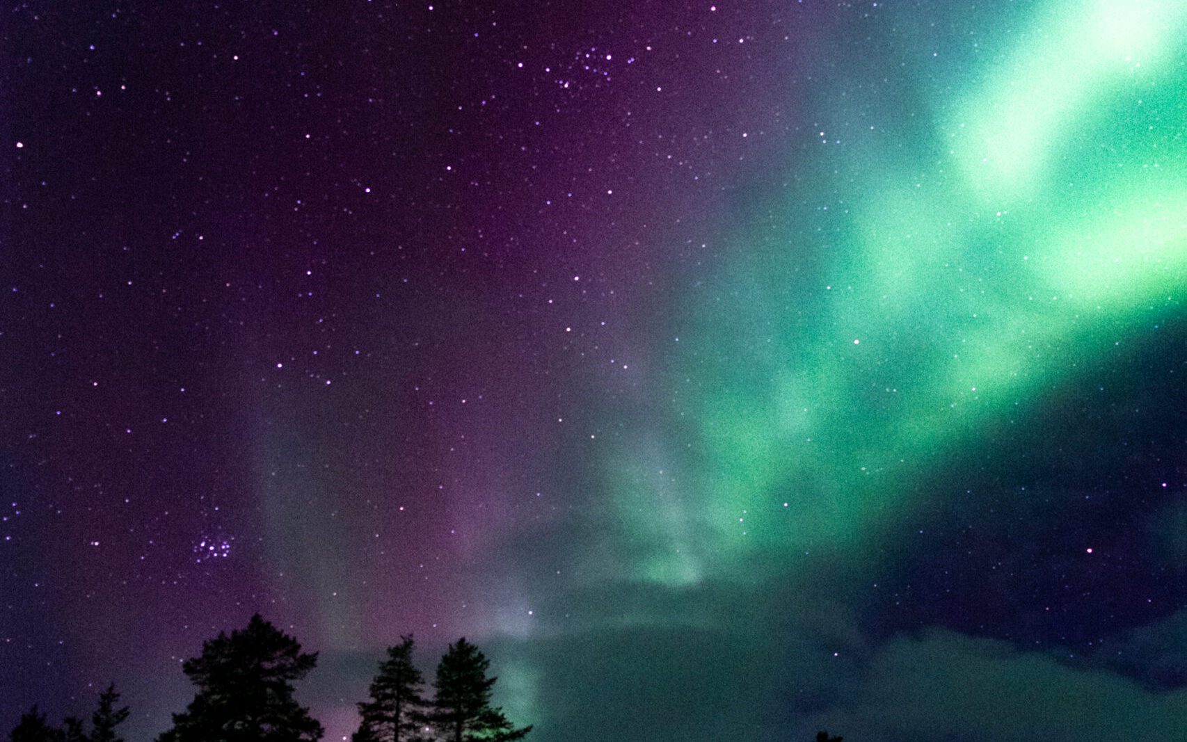 how to see the northern lights