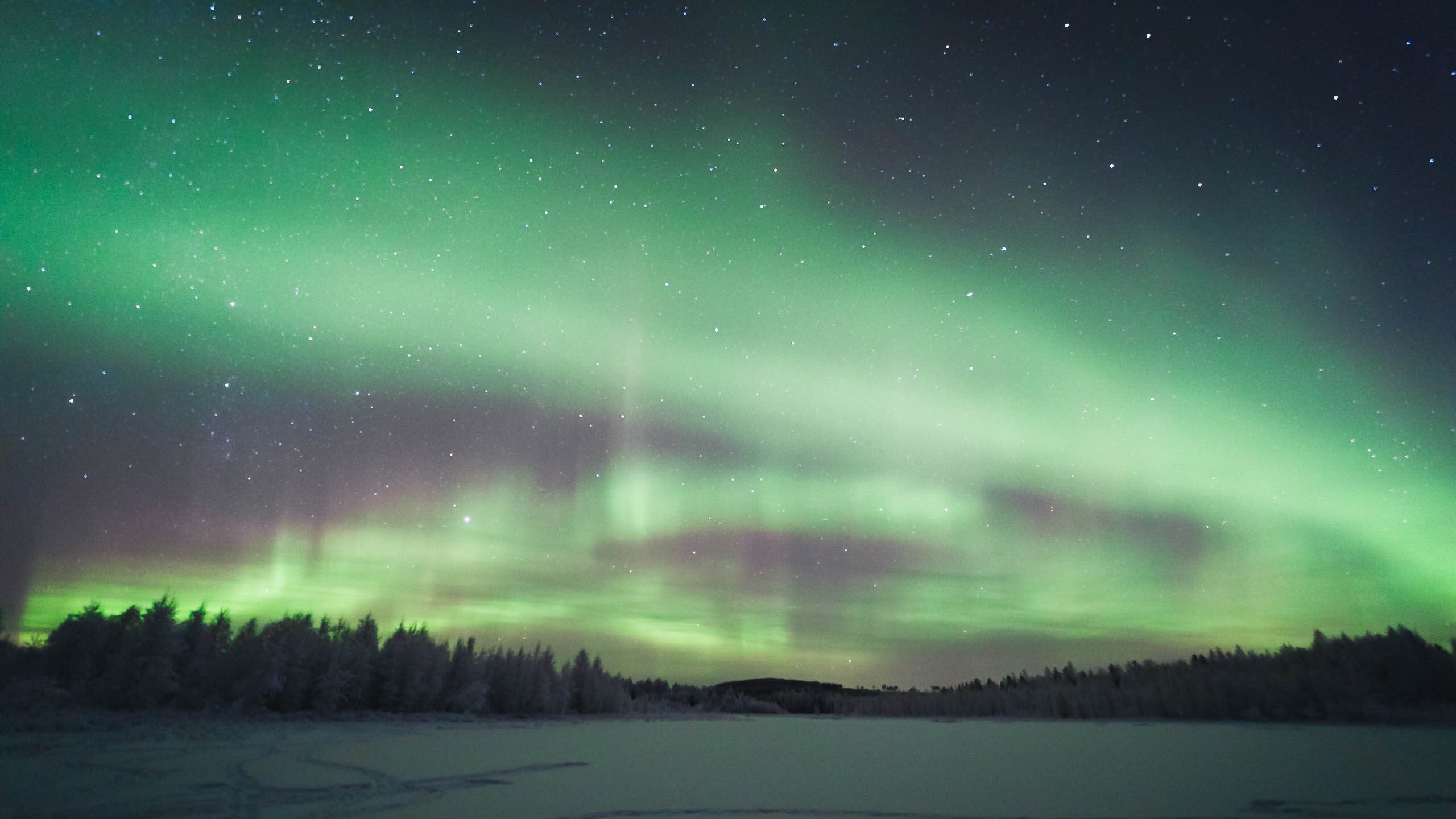 Cuándo y dónde ver auroras boreales, El Viajero