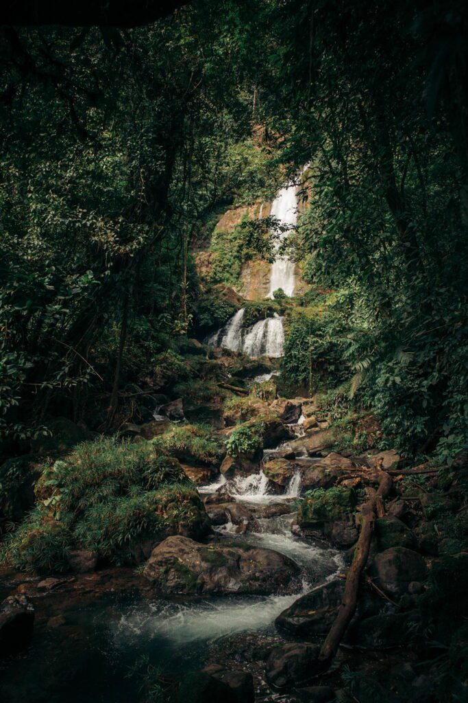 viajar a panama