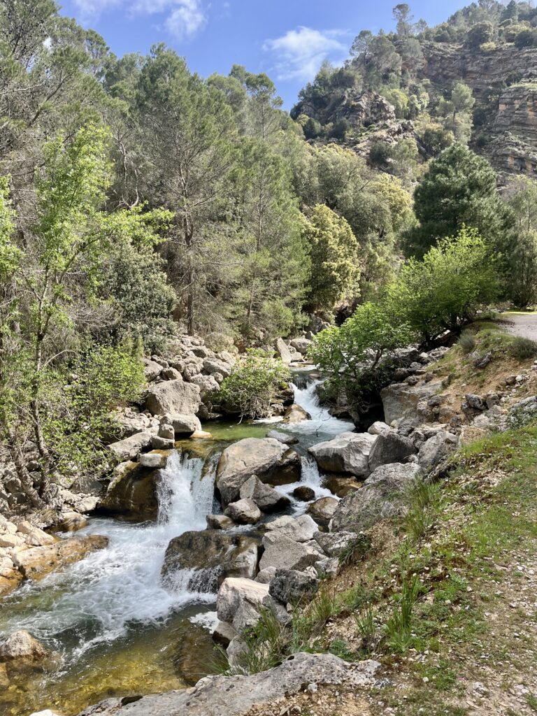 LOS 8 MEJORES HOTELES DE LA SIERRA DE CAZORLA