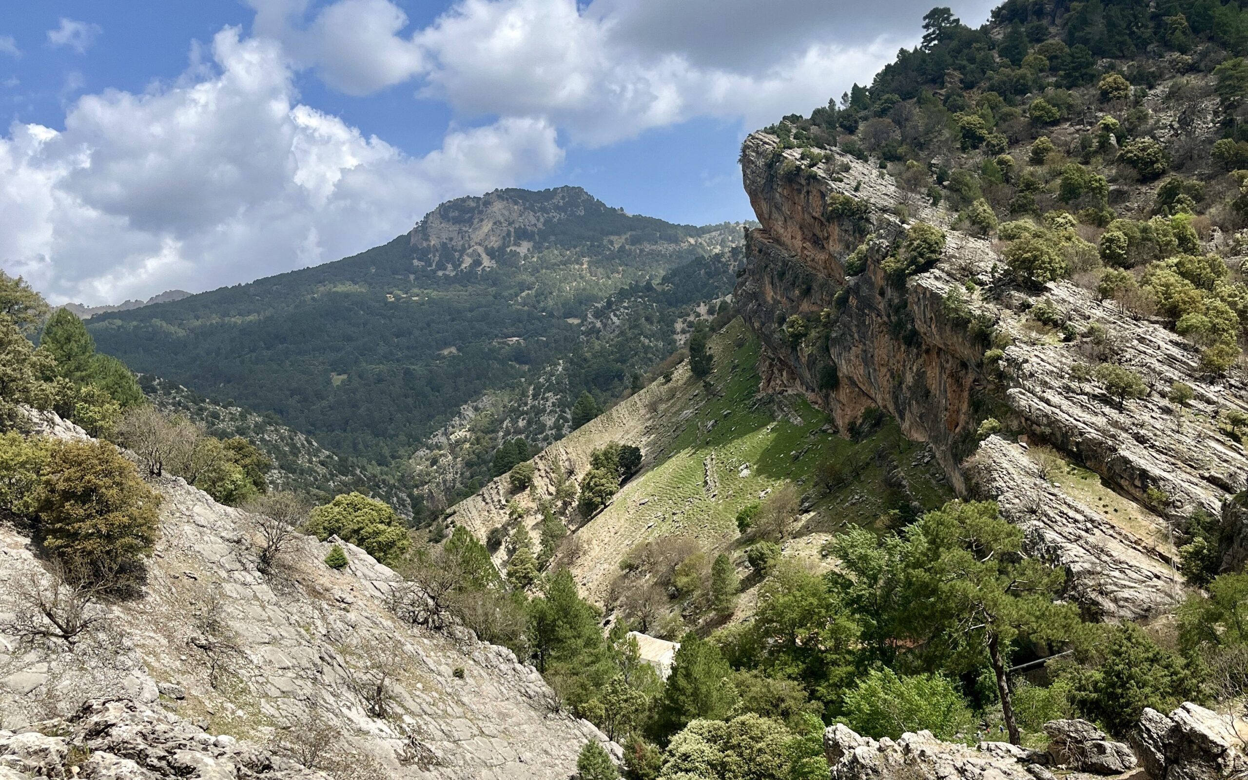 LOS 6 MEJORES HOTELES DE LA SIERRA DE CAZORLA