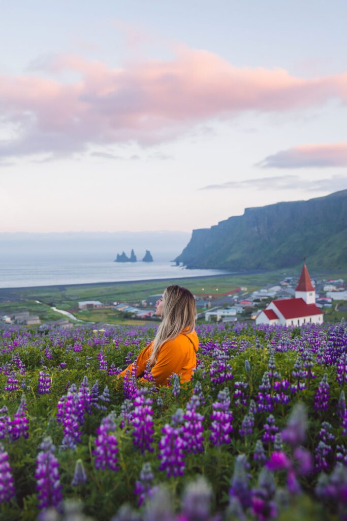 campo de flores en viaje a islandia